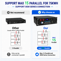 Batería LiFePO4 de 48V 100Ah 51.2V 5.12kWh para Sistema de Energía Solar, Montable en Rack