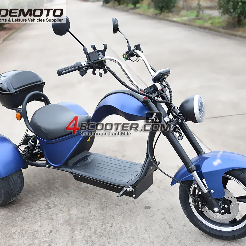 Three wheels big tire trike atv adult tricycle citycoco 3 wheel electric scooter 3000w EEC certificate Scooter off road