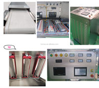 Droogzout Tunnel Magnetron Sterilisator Machine