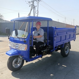 Motocicleta de Tres Ruedas para el Mercado Africano, Autodumper, Arranque 0-3MT, Triciclo Motorizado para Transporte de Carga - Product Image 2