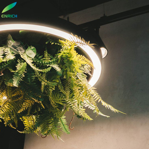 Plante LED Anneau Lumière Sonore Absorbable Combinaison Cercle Rond Verseau Acoustique LED Pendentif Lustre Lumière - Product Image 2