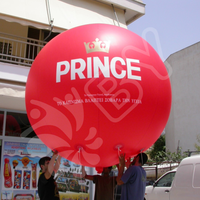 Ballon gonflable à l'hélium BOYAN Ballon gonflable à l'hélium Sphères gonflables à l'hélium avec logo pour la publicité d'événements