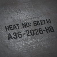 Precio de Chapa/Lámina de Acero al Carbono Laminado en Caliente ASTM AiSi DIN GB JIS Bs EN A36 SS400 Q235 Q235B Q345 Q345B Q195 de 20mm 25mm 30mm 40mm