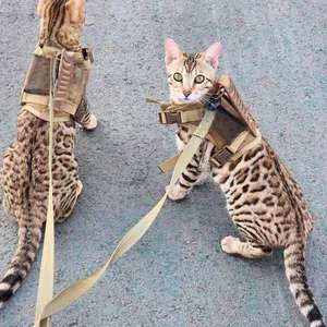 Harnais et laisse pour chat, réglable, en nylon tactique, taille XL, résistant aux évasions, gilet pour chat pour l'entraînement et les promenades - Product Image 2