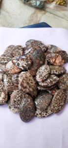 Pierres précieuses en jaspe léopard de haute qualité, formes variées, pour la fabrication de bijoux, prix de gros - Product Image 2