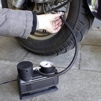 Pompe à air pour voiture Pompe à pneu portable 12V Mini compresseur d'air portable électrique Pompe de gonflage d'air pour voiture