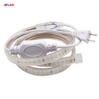 Bande lumineuse LED extérieure étanche IP65, 50 m, 240 LED/m, blanc chaud 6500K, compatible avec commande tactile/télécommande/application, AC110V/220V