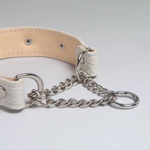 Collar <span class=keywords><strong>Blanco</strong></span> Tipo P-Chain para Perro - Collar de Entrenamiento de Piel Sintética de Lujo para Razas Pequeñas/Medianas como Bichón, Westie, <span class=keywords><strong>Schnauzer</strong></span> - Product Image 3