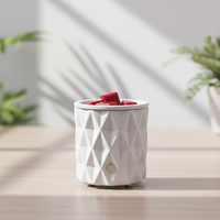 Diffuseur d'huiles essentielles électrique sans flamme en céramique, brûleur d'encens aromathérapie à brancher, certifié ETL, vente en gros pour l'automne