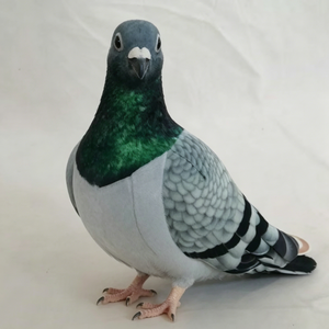Peluche de pigeon de course personnalisée, peluche de pigeon gris, peluche de pigeon réaliste, animal en peluche pigeon voyageur - Product Image 1