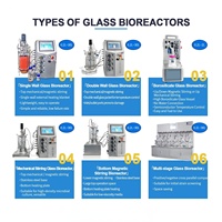 Biorreactor de Laboratorio con Camisa de Acero Inoxidable, 500ml, 3L, 10L, 20L, Control Digital PLC, Precio Competitivo, Motor Automático