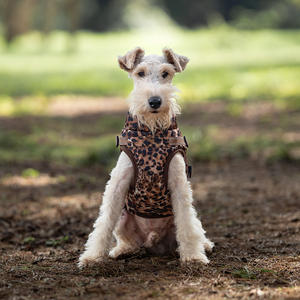 Roupas para Animais de Estimação Estilo Novo <span class=keywords><strong>2026</strong></span>, Jaqueta Clássica para Cães, Hoodie Fashion com Estampa de Leopardo - Product Image 3