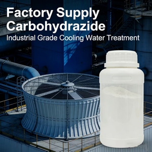 Carbohidrazide ad Alta Purezza 99.0% Polvere CDH CAS 497-18-7, Efficiente Assorbitore di Ossigeno per Trattamento Acque - Product Image 6