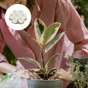 Hot 7-Mảnh Thiết Lập Của Lục Giác Gốm Mini Mọng Nước Trồng Với Một Lớn Tre Khay Cho Giá Sách Cửa Sổ Ngưỡng Vườn Sử Dụng - Product Image 3