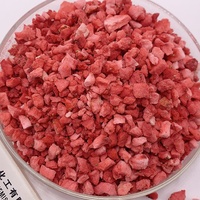 Poudre de fruit de fraise lyophilisée biologique de haute qualité poudre de saveur de fraise poudre de fraise
