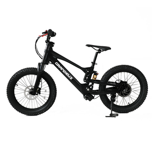 Nuovissima Bici Elettrica da Corsa per Bambini, 18/20 Pollici, Motore 36V 750W, Lunga Autonomia, Modello EKB02 - Product Image 2