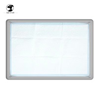 Support de tapis de propreté écologique pour chiens, avec rebord surélevé anti-déversement, en silicone antidérapant, pour l'apprentissage de la propreté des chiots