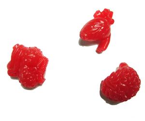 Bola otak plastik edukasional obat - Product Image 6