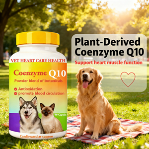 Cápsulas de Coenzima Q10 para Mascotas, Venta Directa de Fábrica, Apoyo Antioxidante para la Salud Cardiovascular e Inmunológica de Perros y Gatos, OEM/ODM - Product Image 3