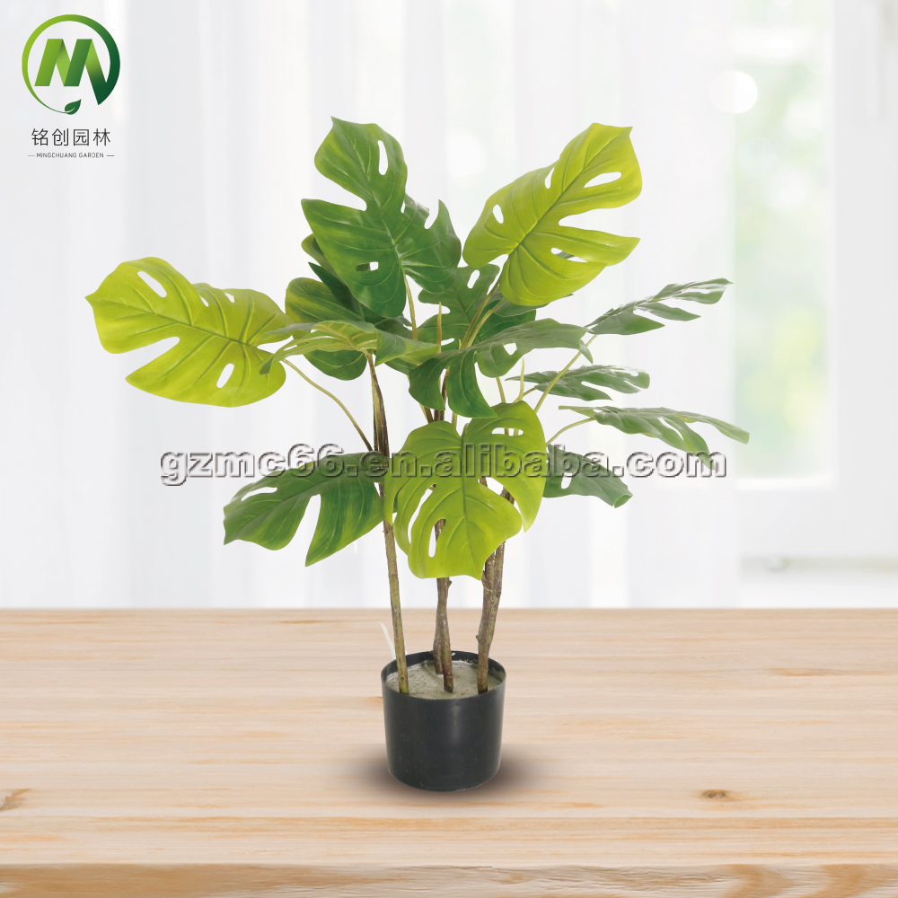 monsteria-5trunks- 80cm