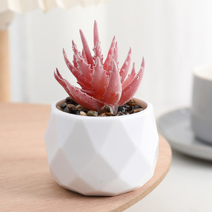 Plantas Suculentas Artificiales de PVC con Aspecto de Diamante, Adornos para Macetas de Escritorio, Ideales para Decorar con Suculentas - Product Image 4