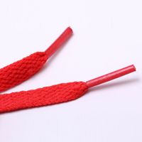 Lacets Plats Épais en Polyester sur Mesure, 50-180 cm, avec Embouts en Plastique Colorés pour Baskets