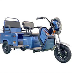 Cheap Made In China Adult electric open 48v/ 60v bicycle 3 wheel scooter tricycle cargo and passenger three wheel tricycle