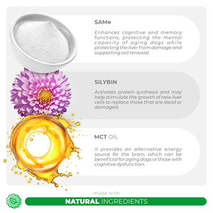 Supplément de pâte naturelle pour chien-SAMe & Silybine Huile de poisson Calcium & Vitamine E pour un soutien immunitaire et une absorption rapide et sûre - Product Image 3