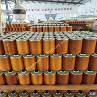 Nuevo Filtro de Combustible Diésel para Camiones de Trabajo Pesado FF5052 FF5074 FF5776 LF777 LF9001 LF9009