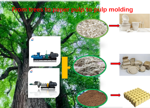 Macchina per la Produzione di Polpa di Carta: Macchina Meccanica Chimica per la Lavorazione di Legno, Bambù e Canna, con <span class=keywords><strong>Impastatrice</strong></span> a Doppia Vite per Cellulosa - Product Image 2