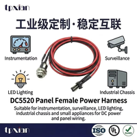 Kabel DC5520 Panel Female ke JST 2P Harness UL1007 20AWG 300V7A untuk Instrumen LED, Peralatan Industri, dan Chassis