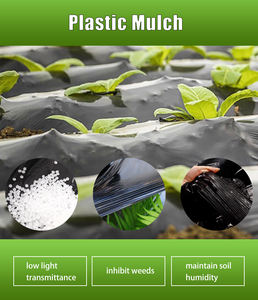 Самая продаваемая, выгодная по цене, компостируемая черная мульчирующая пленка из ПВД с отверстиями, биоразлагаемая, для подавления сорняков, долговечная, выдувного формования - Product Image 3