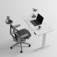 Fauteuil de bureau ergonomique pivotant à dossier divisé avec hauteur réglable pour bureau à domicile et école, faible MOQ, commande d'essai facile