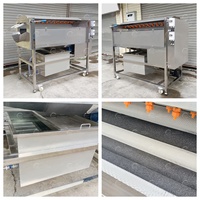 Automatische Dadels Palmreiniging Polijstmachine Borstelrol Droge Datum Wasmachine