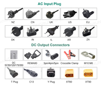 Chargeur embarqué pour véhicule électrique CE RoHS FCC 3300W 6.6KW avec charge rapide DCDC 1500W, convertisseur AC 220V vers DC, chargeur de batterie