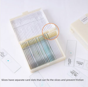 Lames de microscope préparées avec <span class=keywords><strong>des</strong></span> spécimens aquatiques transparents et colorés, incluant <span class=keywords><strong>des</strong></span> lames de verre avec <span class=keywords><strong>des</strong></span> écailles de poisson carassin, au meilleur prix - Product Image 4