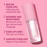 Huile à lèvres hydratante transparente personnalisée pour maquillage, marque privée, naturelle, à base de plantes, longue durée, végétalienne, effet repulpant, vente en gros