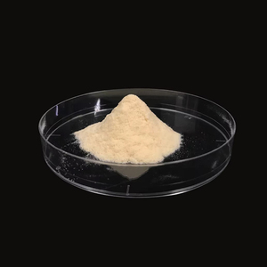 Women's Health & Beauty SECComplex-LS Polvo de extracto animal de origen marino para cosméticos y aplicaciones alimentarias - Product Image 1