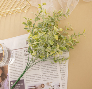 Flores Secas Naturales, Ramo de Hierba de <span class=keywords><strong>Pampas</strong></span>, Phragmites Reales, Decoración Boho <span class=keywords><strong>Chic</strong></span> para Bodas y Fiestas, Plantas Secas al por Mayor - Product Image 5