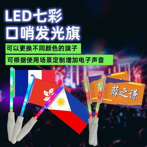Drapeaux lumineux LED colorés, portables, pour concerts, événements sportifs, festivals de musique, accessoires de cheering avec affichage numérique - Product Image 5