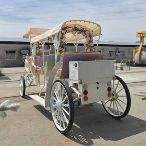 Carruaje Eléctrico Profesional de Fábrica para Turismo, Carroza Real para Bodas en Venta - Product Image 2
