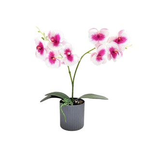 Orquídea Phalaenopsis Artificial de 36 cm con Maceta, Estilo Nórdico, Planta Decorativa para Mesa de Salón - Product Image 5