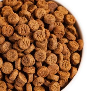 מכירה ישירה סיטונאי תווית פרטית תבואה חלבון גבוה ללא חיות מחמד OEM 10 ק""ג מזון לחיות מחמד בתפזורת מזון יבש לחתולים - Product Image 6