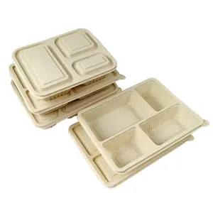 Vano personalizzato del produttore degradabile a tenuta stagna Bento Lunch Box chiaro piastre monouso biodegradabili compostabili