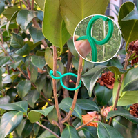 Clips de suspension réglables en PP en forme de 8 pour une maintien sûr des plantes et des vignes - Utilisation extérieure durable