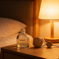 Diffuseur de parfum en verre d'aromathérapie 10 ml, pendentif décoratif pour voiture, avec bouteille de recharges et ensemble de bâtonnets – En stock