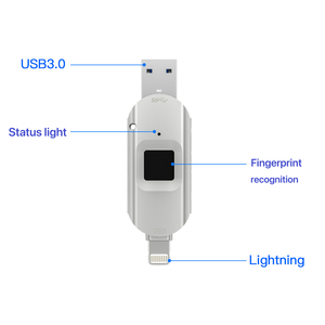 <span class=keywords><strong>Pendrive</strong></span> USB de alta gama con huella dactilar, memoria USB con logotipo personalizado, para publicidad, regalo - Product Image 6
