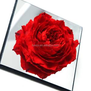 <span class=keywords><strong>Flores</strong></span> Reales con Duración <span class=keywords><strong>de</strong></span> 3 Años, Caja <span class=keywords><strong>de</strong></span> Acrílico con Espejo, <span class=keywords><strong>Flores</strong></span> Secas, Peonías Preservadas, Set <span class=keywords><strong>de</strong></span> Regalos Promocionales para Empresas - Product Image 3