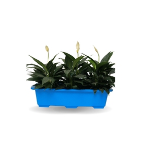 Premium Multifunction <b>Plastic</b> <b>Tray</b> for Living Room Home Decoration Elegant Storage Display <b>Tray</b> 2026 - Product Image 1