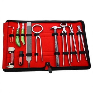 10 pièces kits d'outils de maréchal-ferrant pince à sabot, testeur de sabot, 2 couteaux à sabot, 2 outils de pince à ongles, outil tampon sabot toilettage outils d'entretien des chaussures - Product Image 1